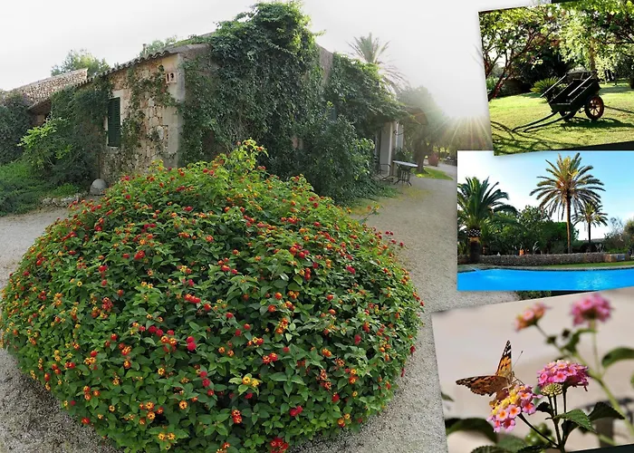 Petit Hotel Es Figueral