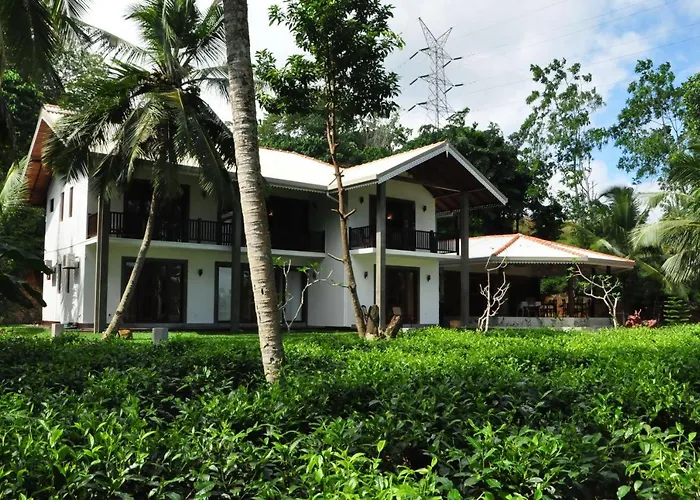 Villa Peacock