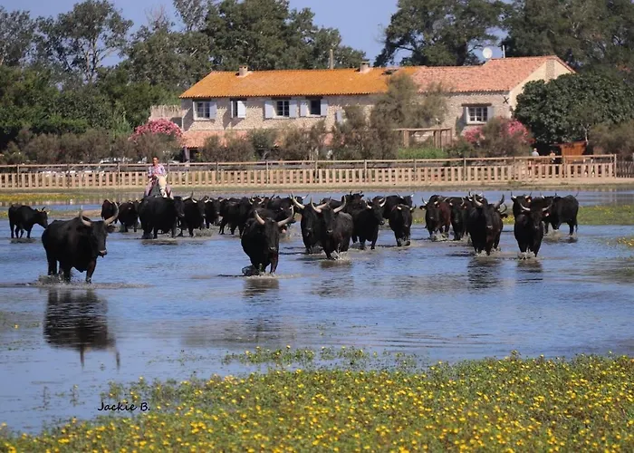 Manade des Baumelles