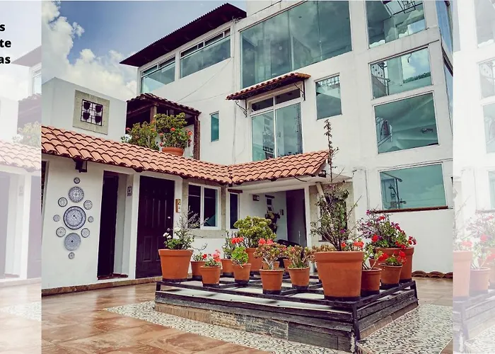 Suites Aldama