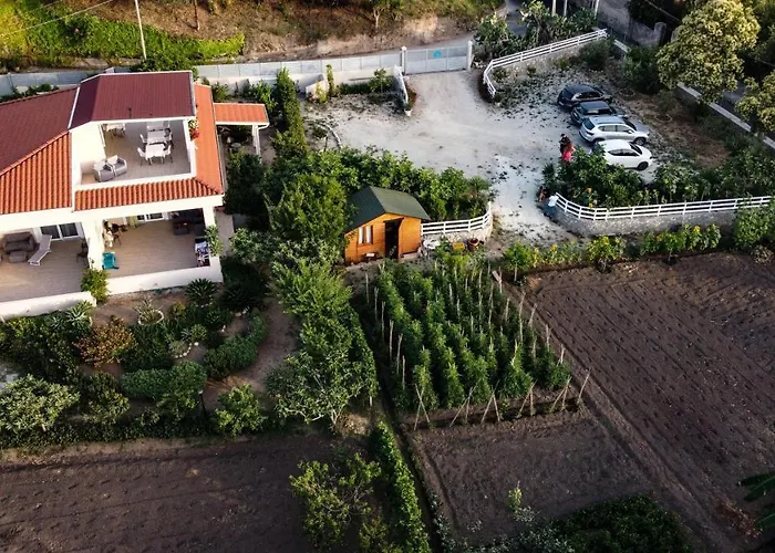 Michelino House