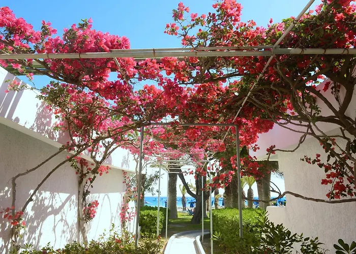 Hotel Blue Horizon à Ialysos 