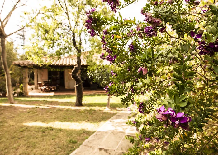 Aumallia Hotel & Spa