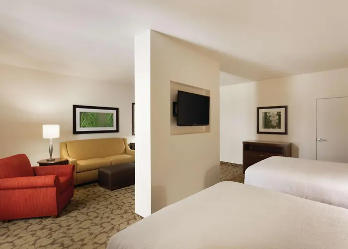 Hilton Garden Inn Rochester Downtown, Ny