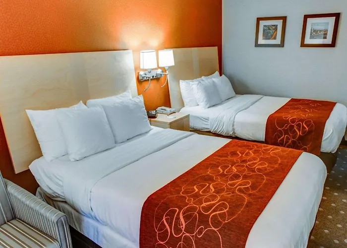Comfort Suites Pittsburgh Airport Robinson Township 