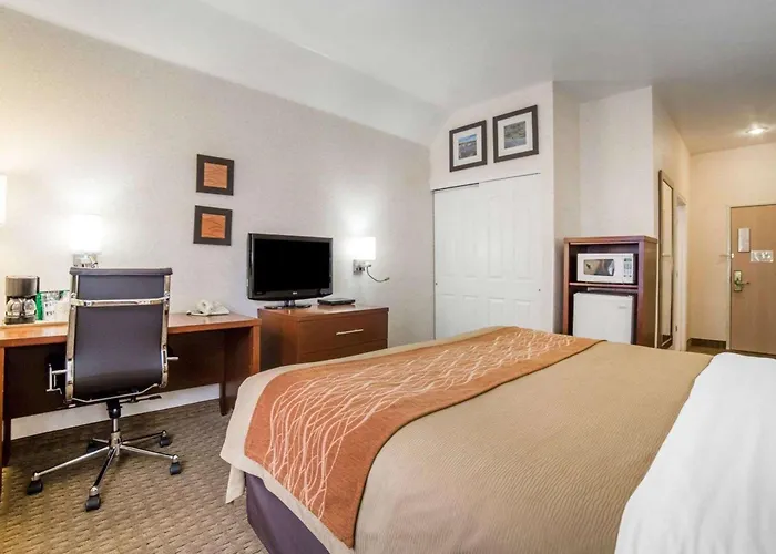 Comfort Inn Elko
