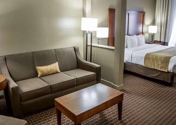 Comfort Inn & Suites Riverview Near Davenport And I-80