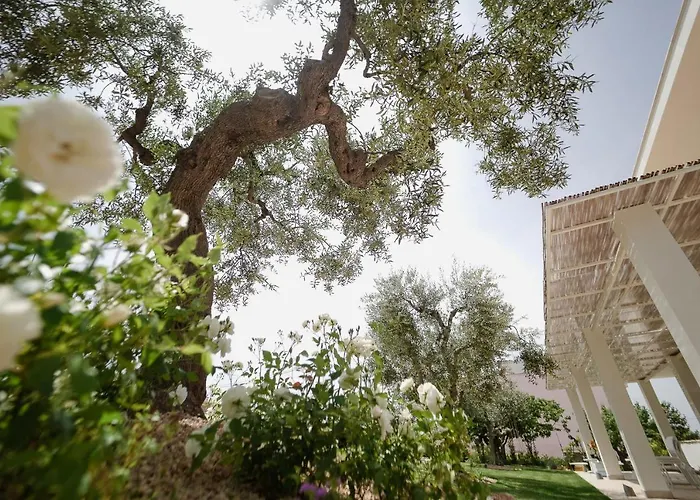 Bed and Breakfast Almasol - Charme Experience Castellana Grotte