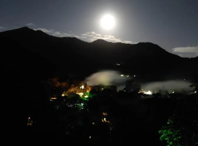 Canto Dos Passaros