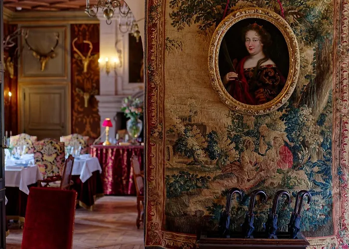 Château Louise de La Vallière Reugny 