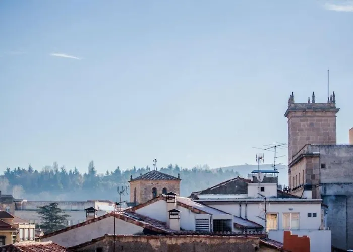 Alvi