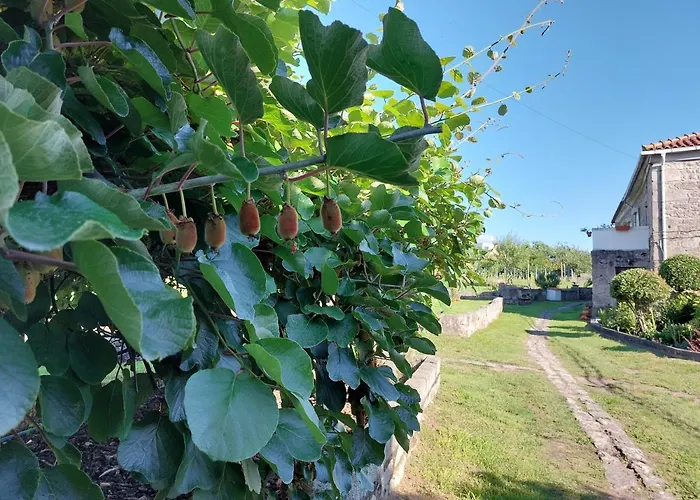 Quinta Da Ponte