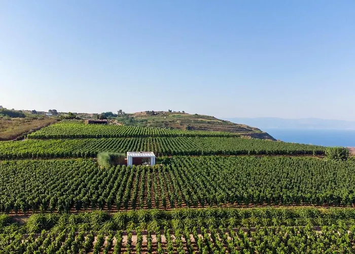 Castellaro Wine Resort