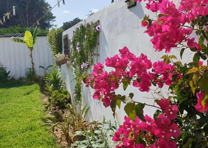Casa Pelicano