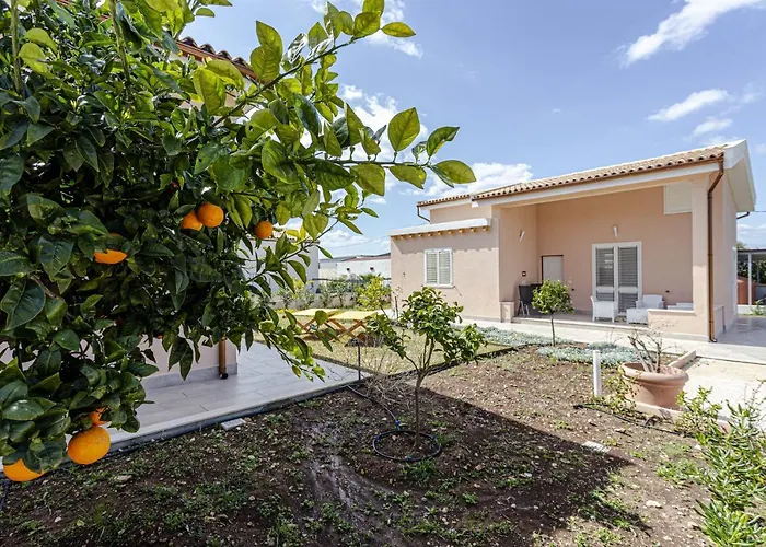 Milocca Homes