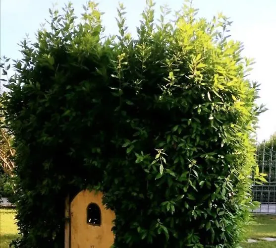 Villa Oasi