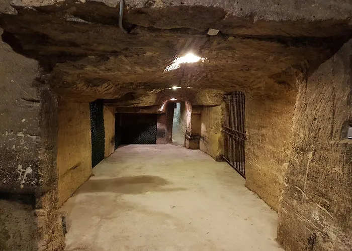 Château Fleur de Roques Puisseguin