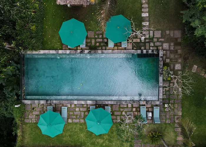 The Hidden Paradise Ubud - Chse Certified