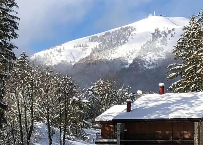 LH Albergo Il Picchio