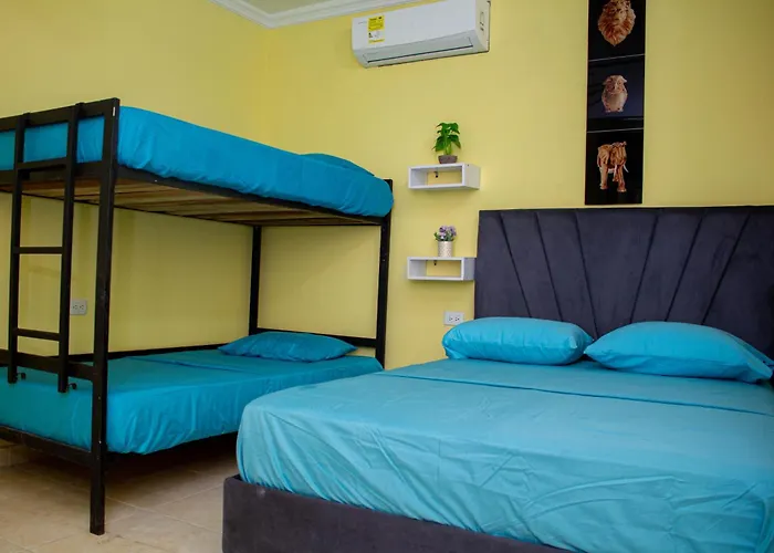 Comfort House