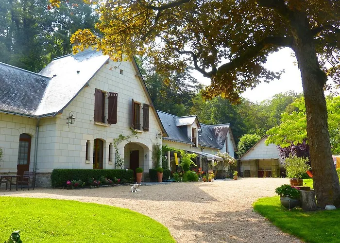 Domaine de Joreau