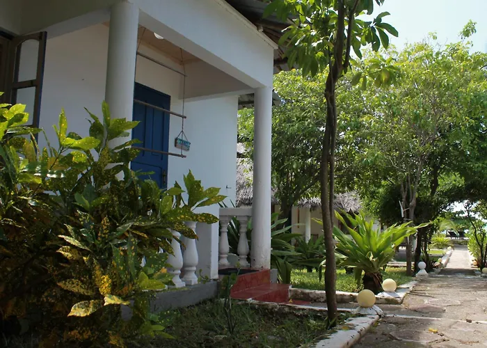 Driftwood Beach Lodge