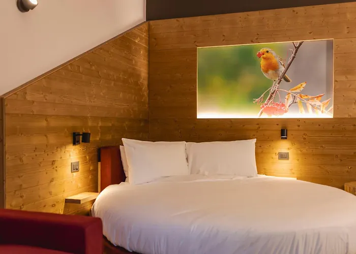 Granduca Mountain Wellness Apartments Campigna