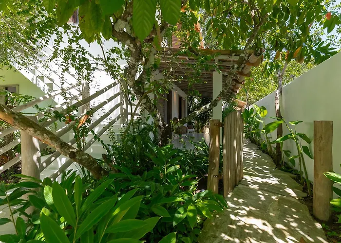 Vila São João