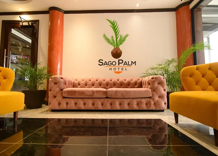 Sago Palm