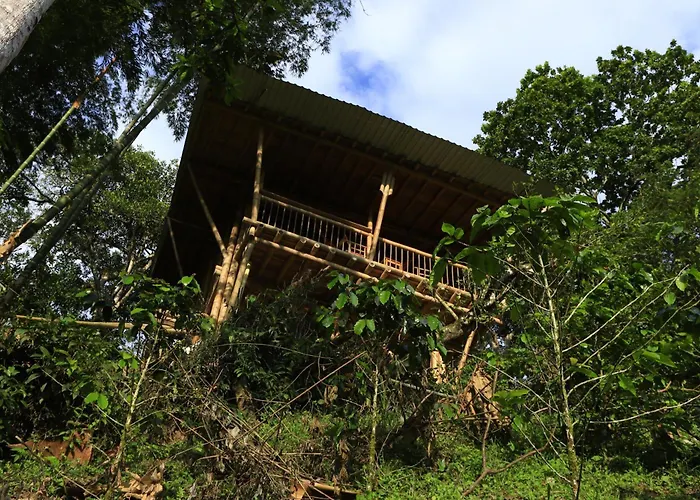 Ecohotel Monteverde