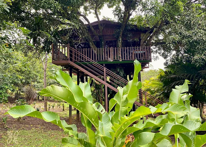 Hotel Heliconias Nature Inn & Hot Springs
