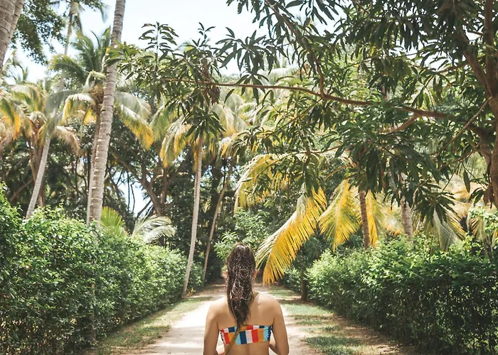 Cabaña Wiwa Tayrona