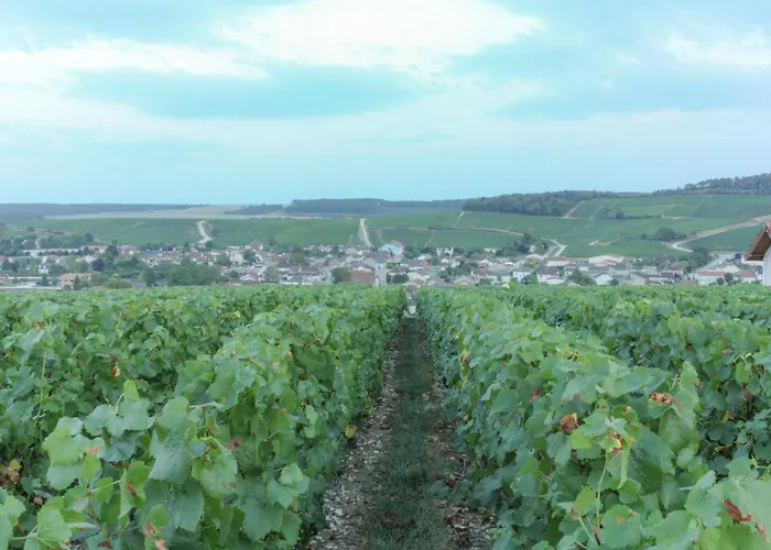 Une Parenthèse en Champagne