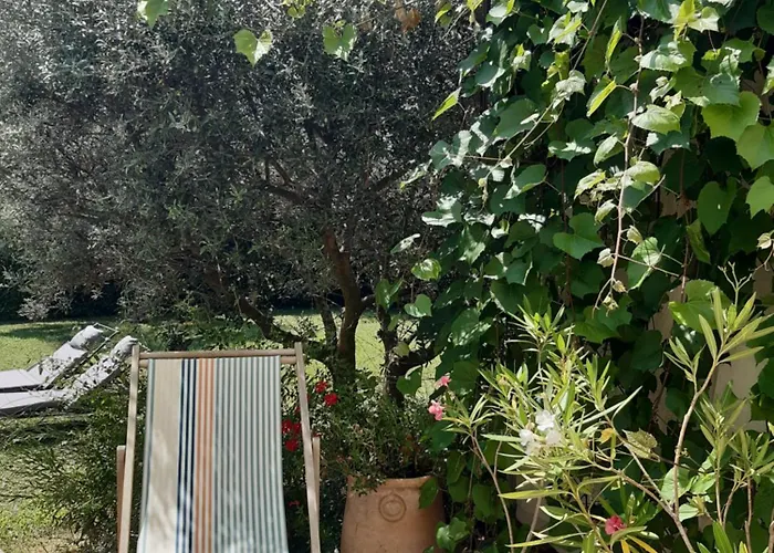 Chambre D'Hotes Le Jardin Des Cigales