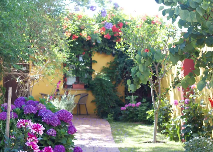 Hotel Doñana Blues