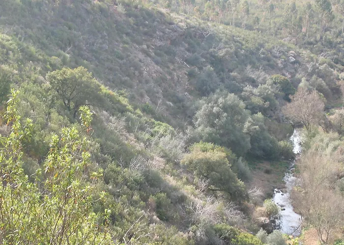 Herdade Do Rio Torto