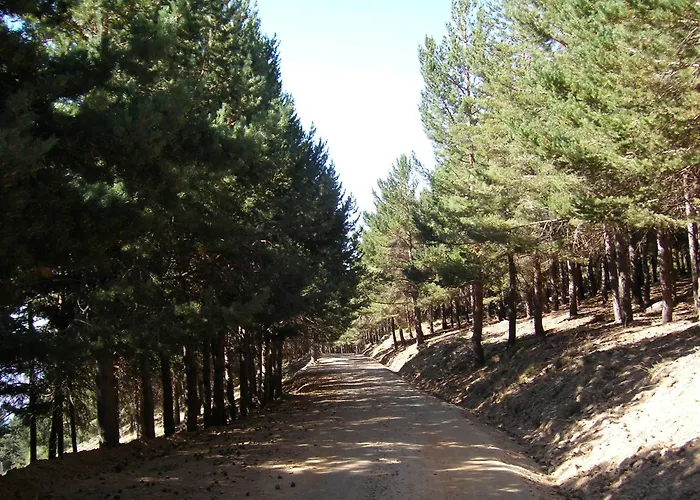 Hostal Rural Poqueira