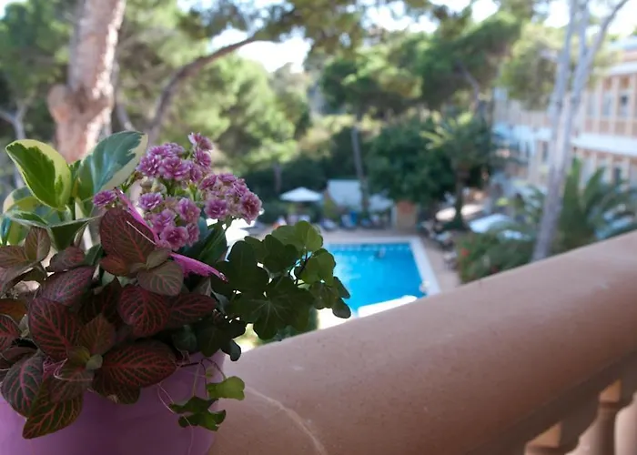 Hotel Cala Gat Cala Ratjada 