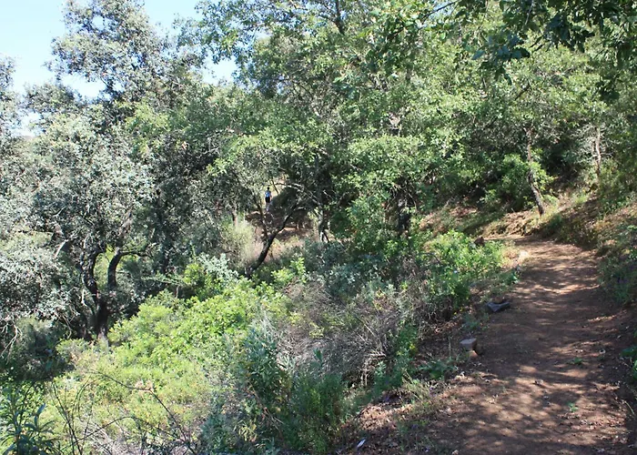 La Posada Del Infante