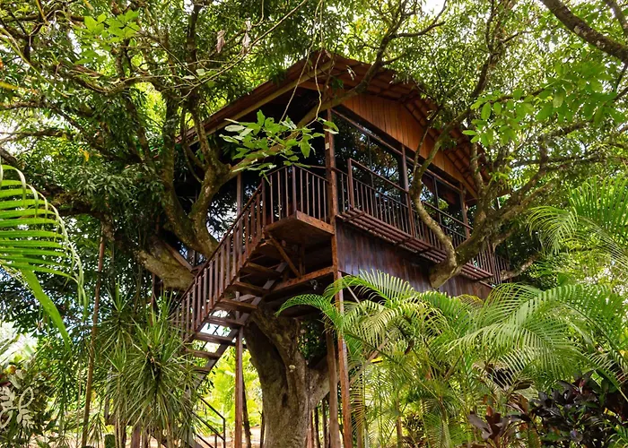 Hotel Heliconias Nature Inn & Hot Springs