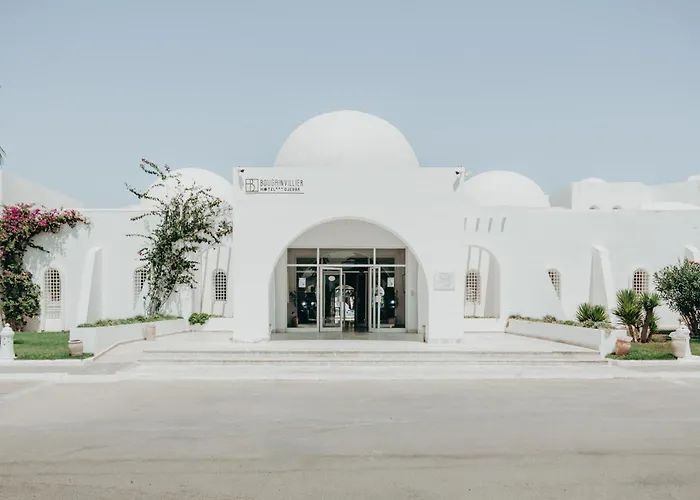 Bougainvillier Djerba