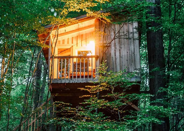 Baumhaushotel Solling