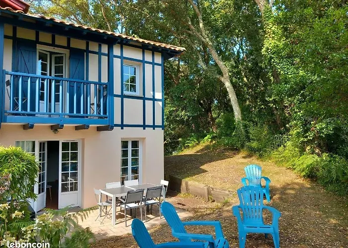 Maison les pieds dans l'eau, piscine et plage à pieds