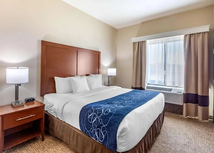 Comfort Suites Near Denver Downtown