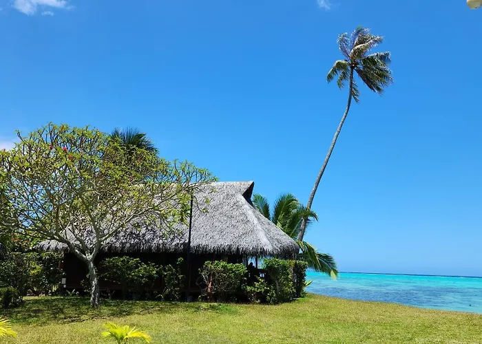 Hotel Hibiscus Papetoai