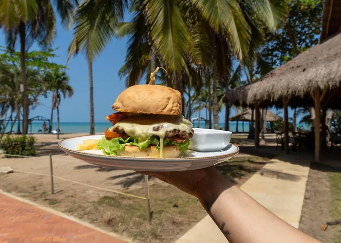 Coconuco Beach Palomino