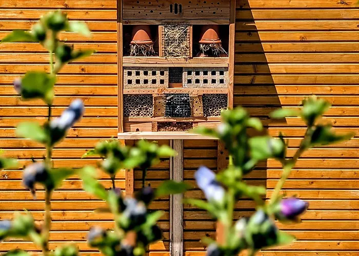 Villa Font Vive - Chambres d'hôtes avec Cuisine et calme absolu ! Grospierres