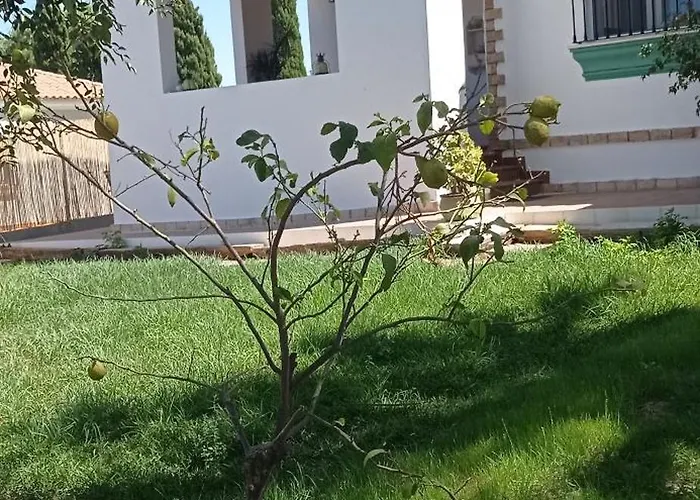 La Luciérnaga