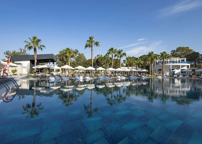 Berry Blue Hotels