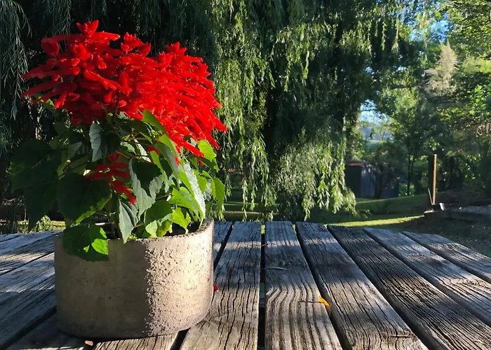 Villetta - Matakana Country Escape